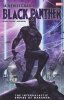BLACK PANTHER BY TA-NEHISI COATES THE INTERGALACTIC EMPIRE OF WAKANDA TP [9781302961763]